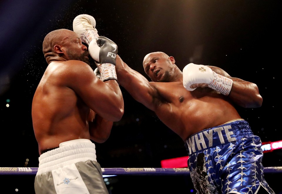 Whyte may have floored Chisora in an epic showdown last night, but Wilder claimed he was none the wiser