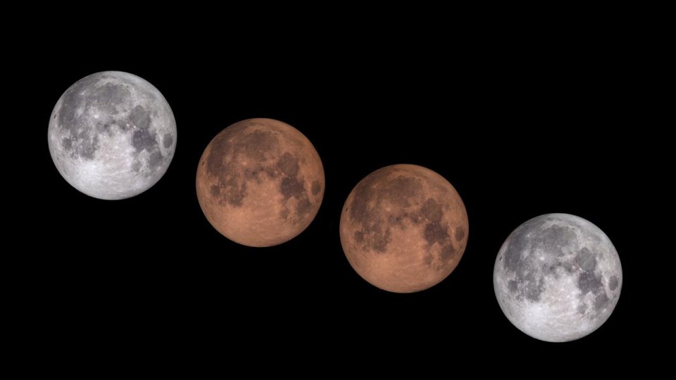 A total lunar eclipse will occur on January 21