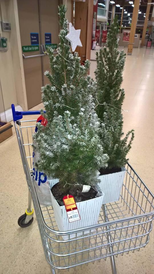 These Christmas trees were reduced to just 75p in Tesco