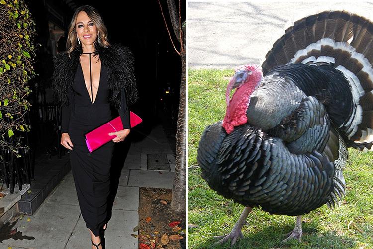  Braless Liz appears to have styled her outfit on the star of the festive feast – a turkey. The 53-year-old also showed off a cut of breast on a night out