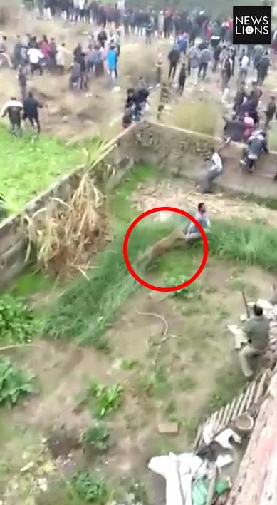  The beast rampaged around the Indian village causing dozens of locals to flee