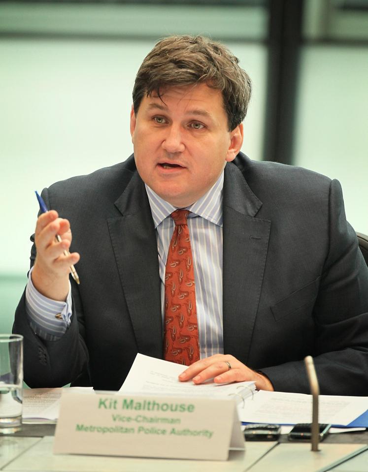 The plan is called the The Malthouse Compromise after housing minister Kit Malthouse, pictured, who brought the parties together