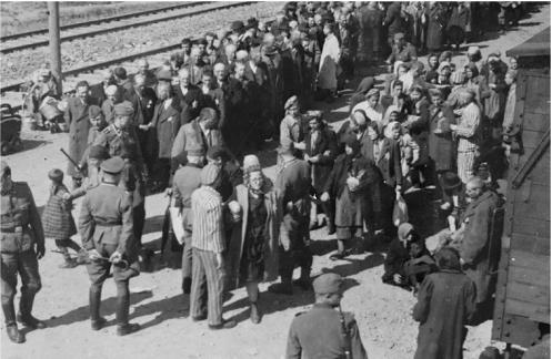  An image showing the SS doctors selecting Hungarian Jews in May 1944 at the Auschwitz-Birkenau death camp in German-occupied Poland