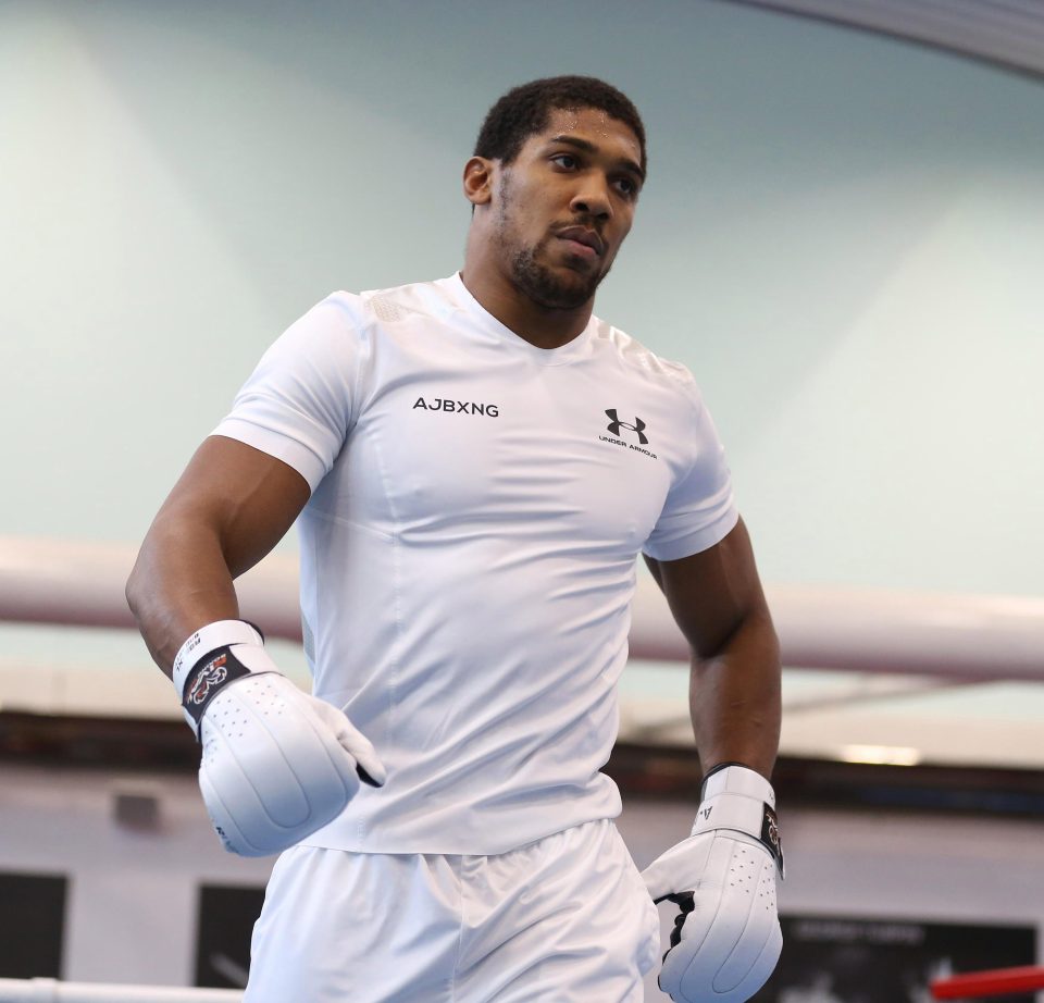  Joshua is booked in to defend his heavyweight world titles on April 13 but he is still without a confirmed opponent