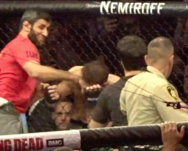  Zubaira Tukhugov landed a punch on McGregor as the Irishman was attacked from behind