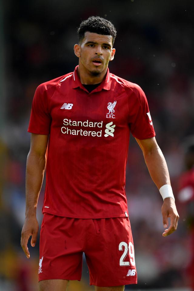  Palace have failed with a move to sign Dominic Solanke on loan from Liverpool