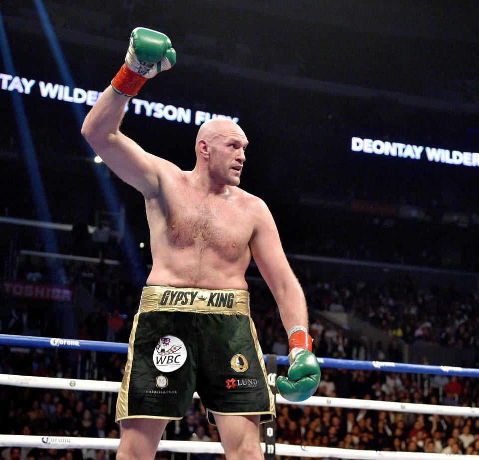  Fury challenged for the WBC title in December last year