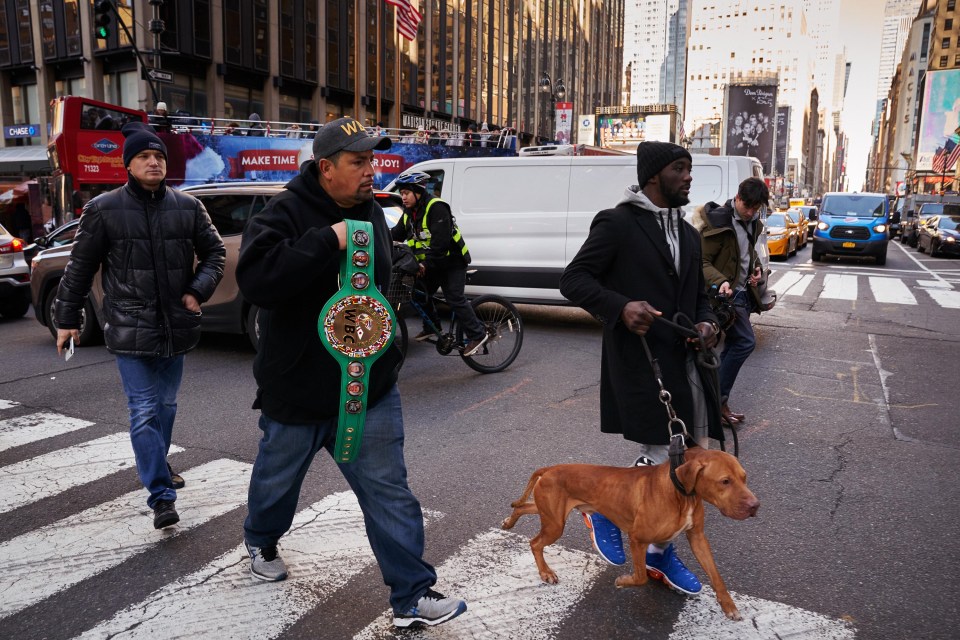 Sun Online joined Terence for a walk around Manhattan with the American pit bull terriers he says are vital to his training