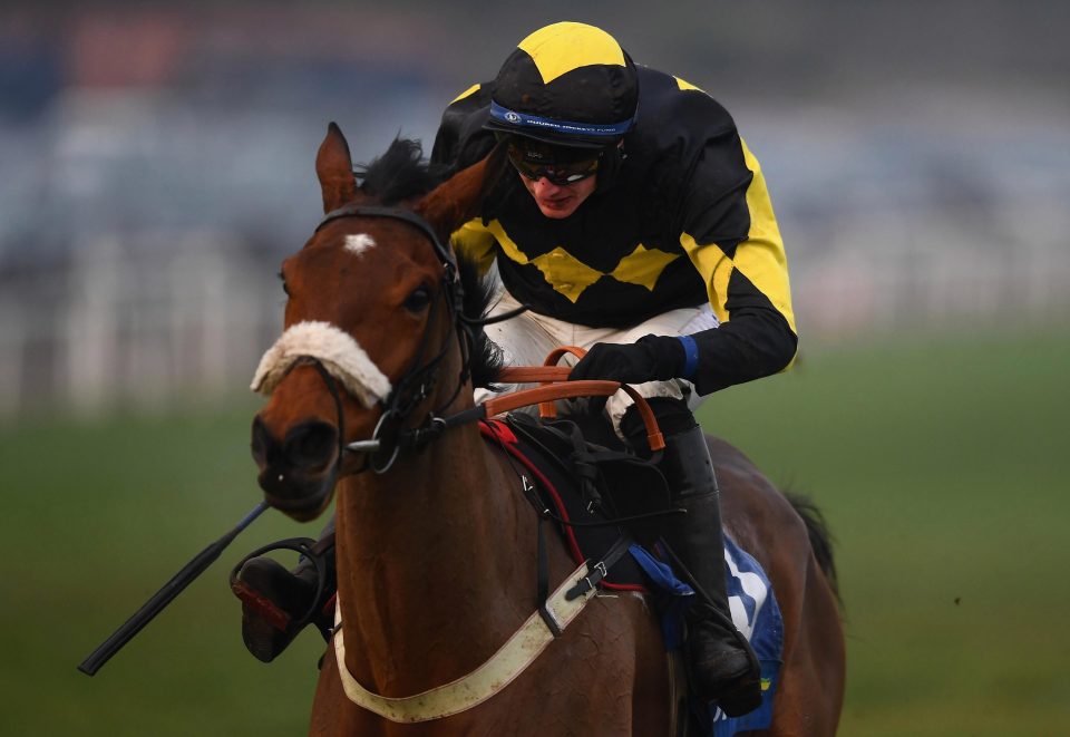  Elegant Escape also has the Grand National as an option