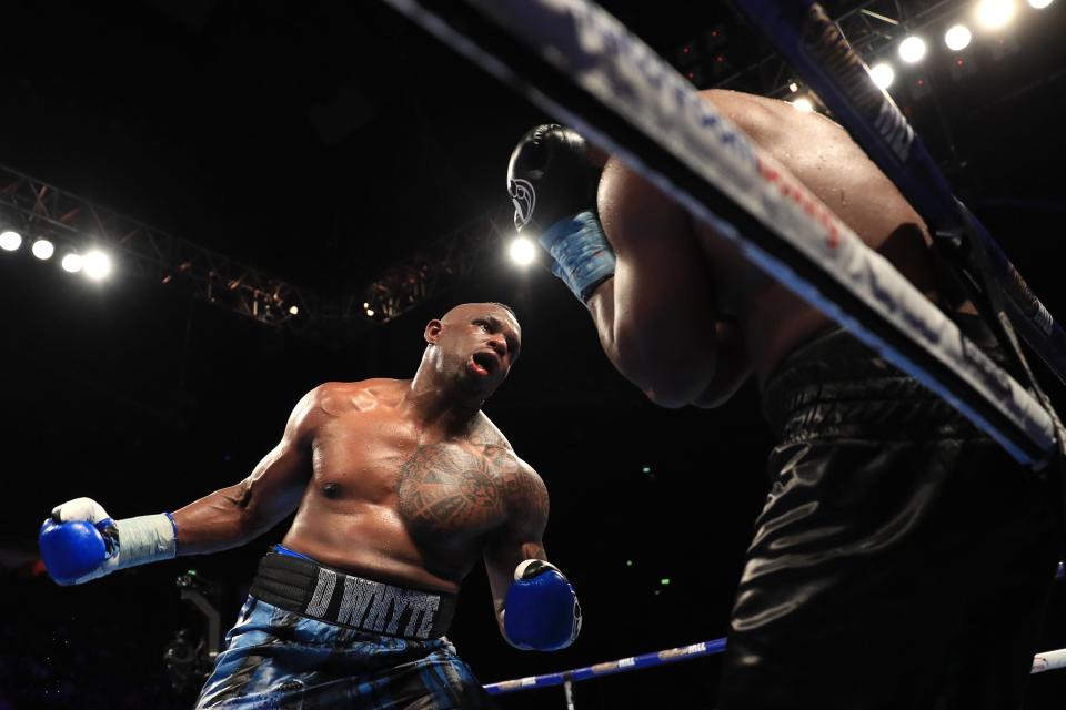 Dillian Whyte has been touted for a rematch with Anthony Joshua