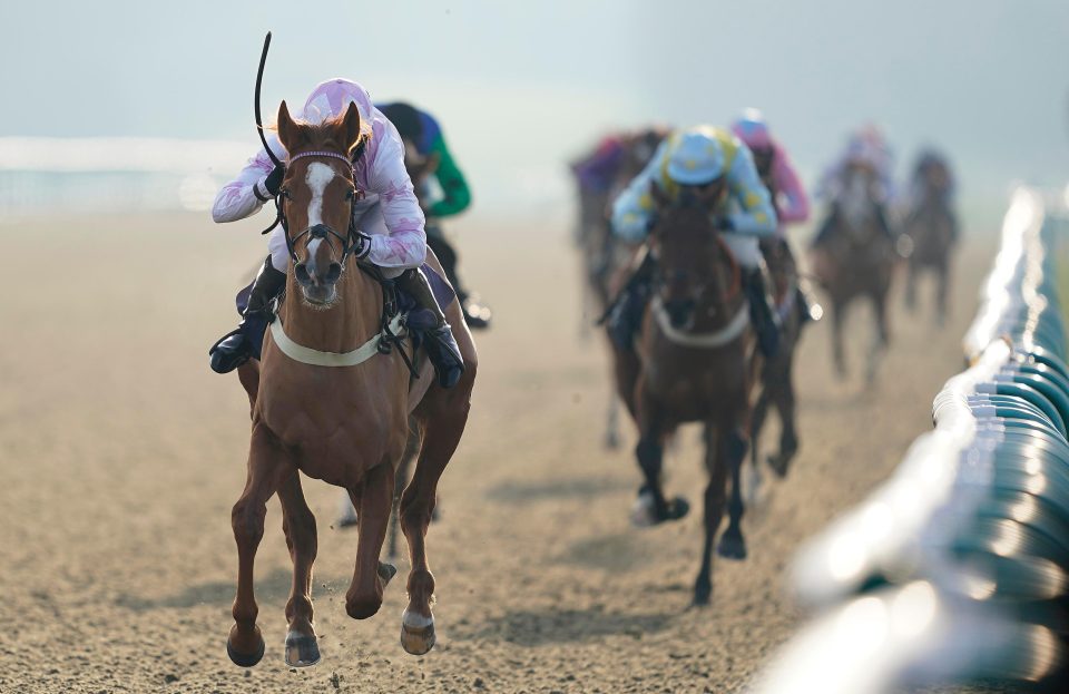  Lingfield have controversially cut their all weather cards to just six races