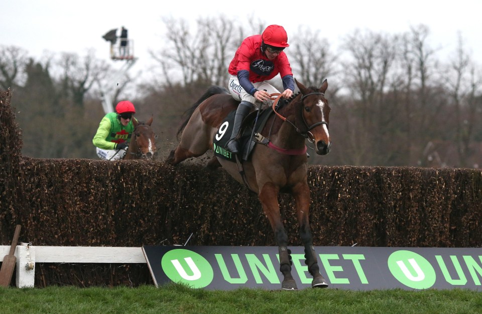 Houblon Des Obeaux flies to victory in the Veterans’ Chase