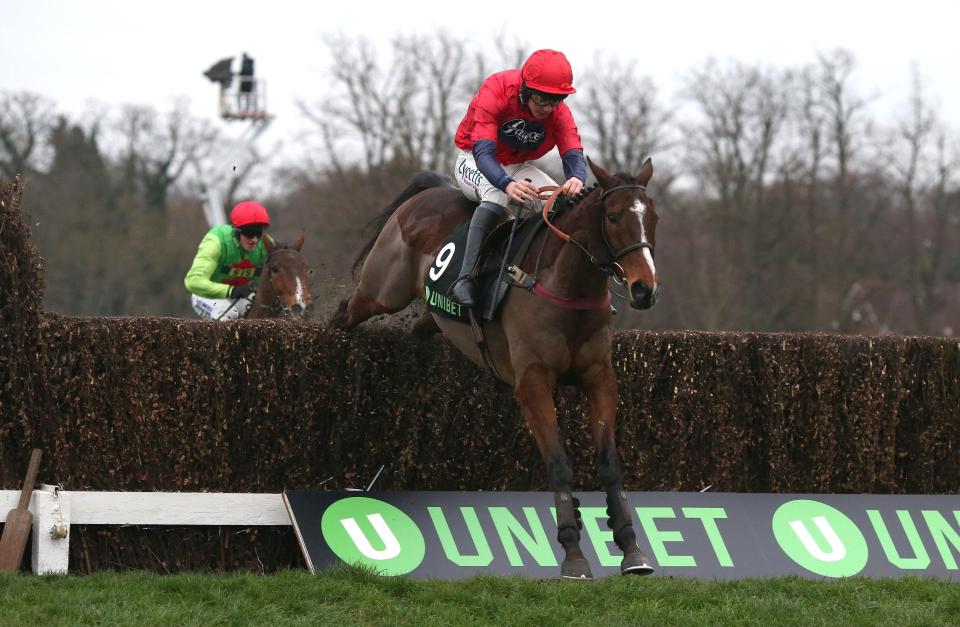  Houblon Des Obeaux flies to victory in the Veterans' Chase