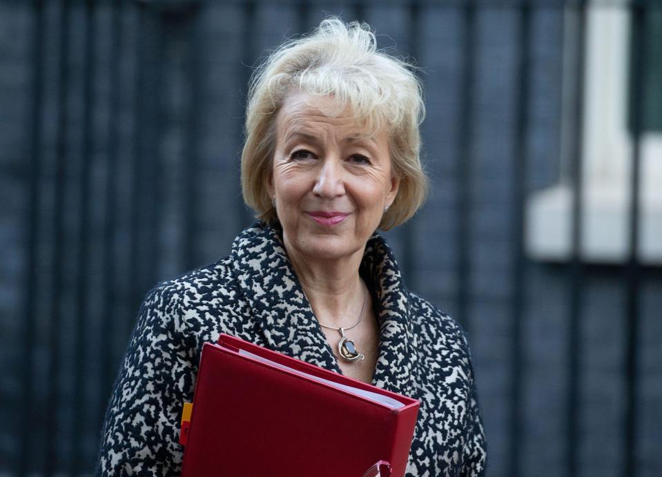  Andrea Leadsom left viewers scratching their heads after she began quoting Winnie the Pooh while outlining the Government’s next Brexit steps