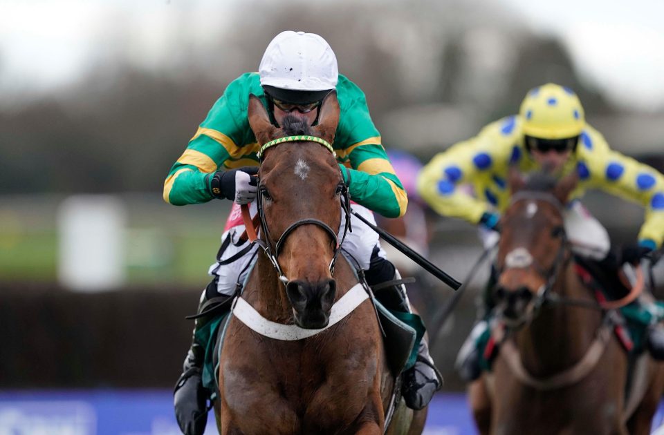  OK Corral is now a hot favourite for the NH Chase at Cheltenham in March