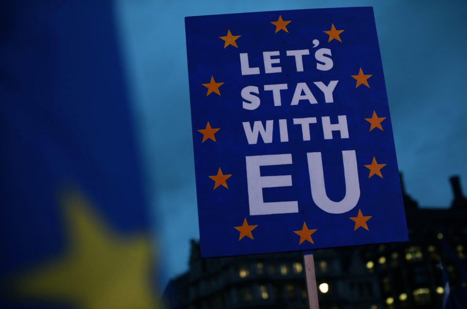 A placard reading 'Let's Stay With EU' is seen as protesters hold flags as they demonstrate on the day that MPs vote on Theresa May's Brexit deal