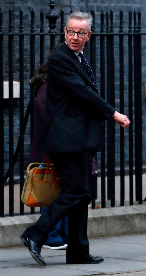  Mr Gove was also seen in Downing Street