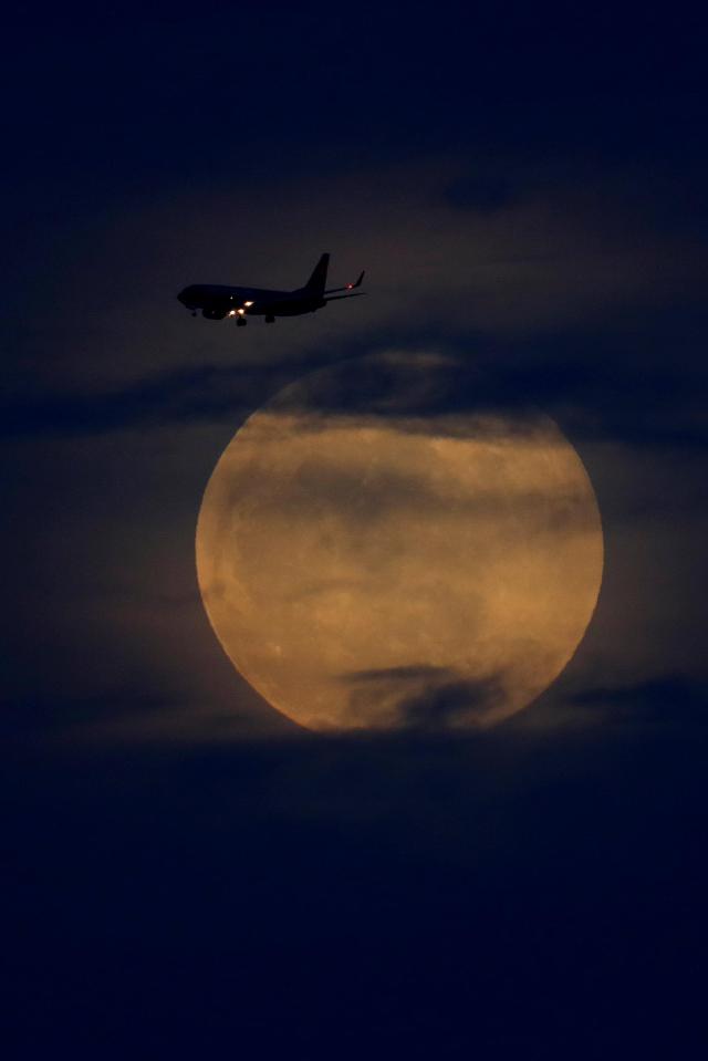  The enlarged reddish moon as seen in San Diego, California