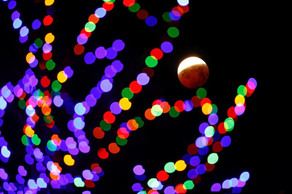  The moon is seen through an illuminated tree during the total lunar eclipse this morning in Aegidienberg near Bonn, Germany