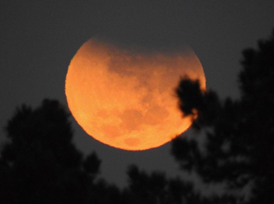  Lecturer Adriaan Buys woke up early to catch this electric shot