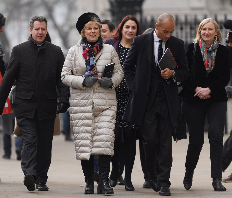  Chris Leslie (far left), Luciana Berger (third left) and Chuka Umunna (fourth left) went for talks with ministers today along with Tories such as Anna Soubry (second left)