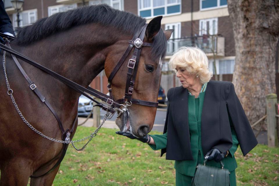  Did Meghan lend Camilla her bag?