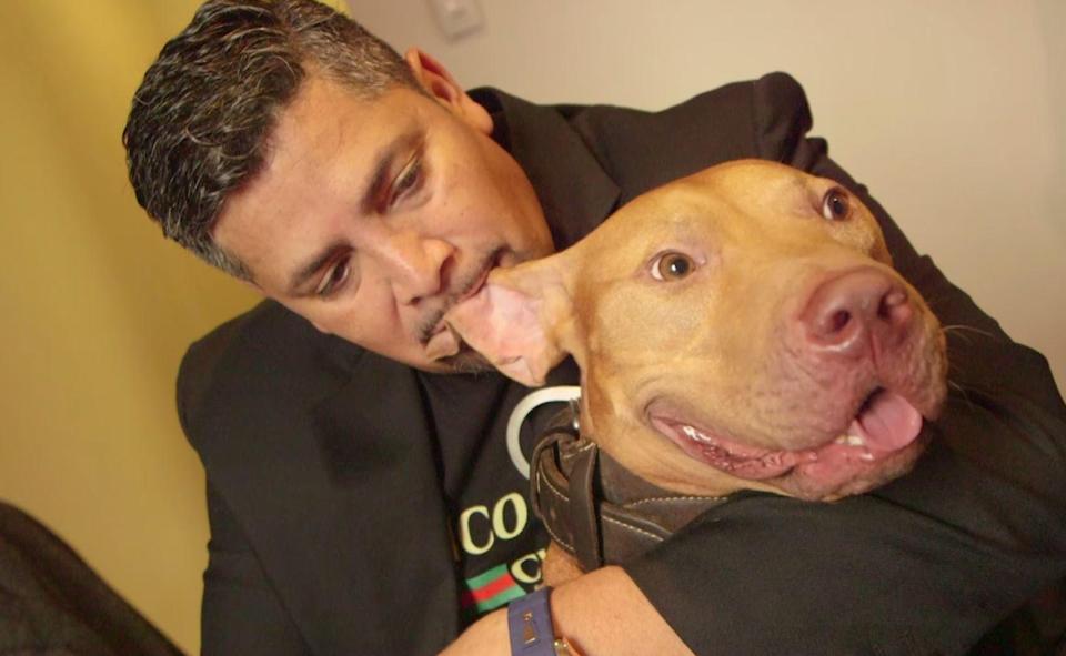  Trainer Chico Lopez says pitbulls have a bad reputation when in fact they are powerful but friendly dogs - andhe  proves it by biting Mayday's ear