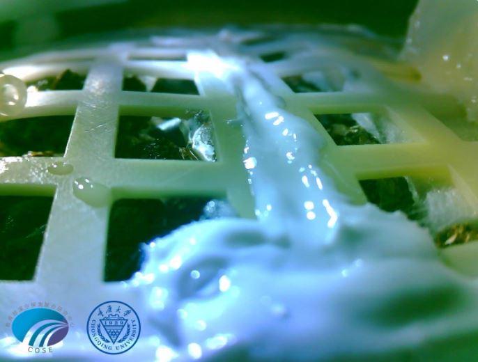 Chinese media released pics on Tuesday morning of cotton seeds sent to the moon sprouting