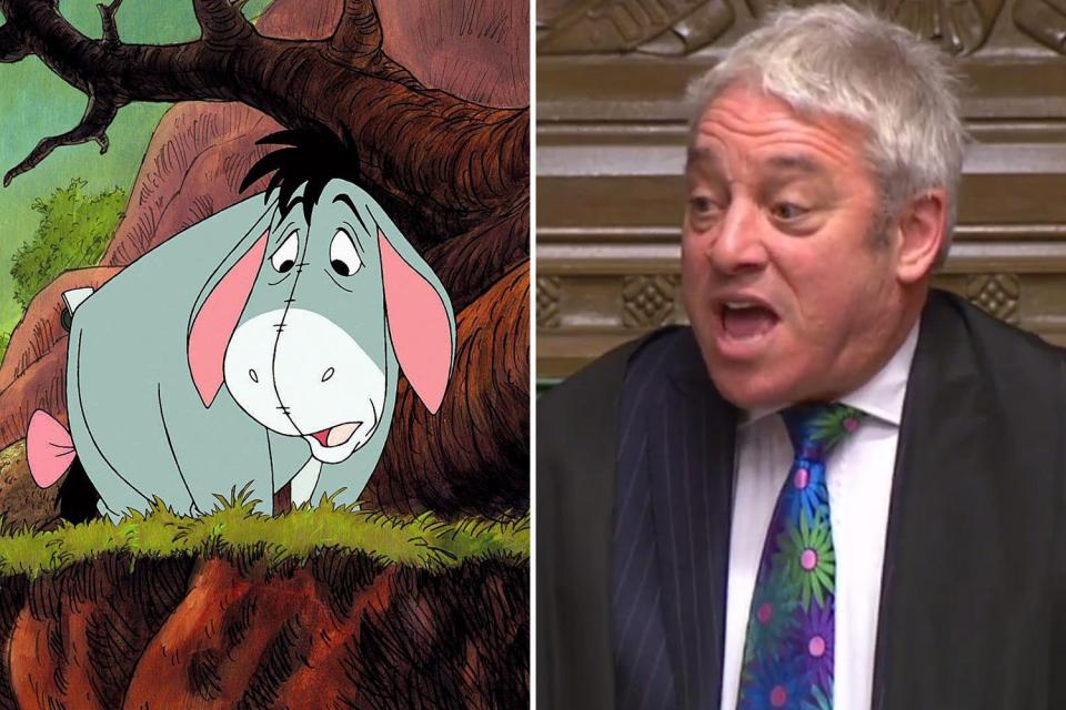  Ms Leadsom went on to quote Eeyore the gloomy donkey while wishing controversial Speaker John Bercow a happy birthday