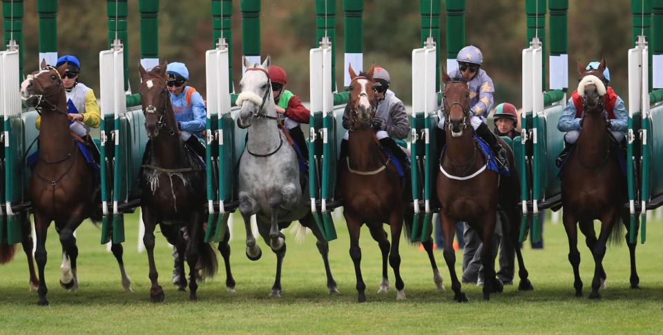  Don't miss out on Tom Bull's best bets at Thursday's meetings