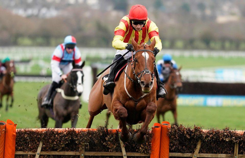 Jarveys Plate put up an impressive performance on his last start at Cheltenham