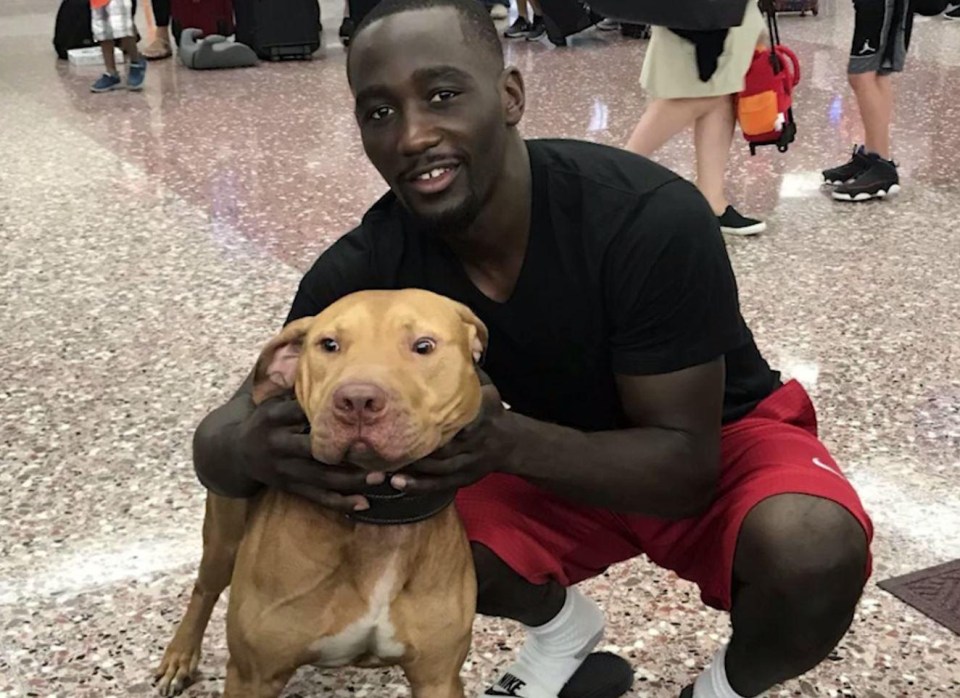 Terence with his own pitbull, Goldie