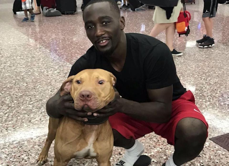  Terence with his own pitbull, Goldie