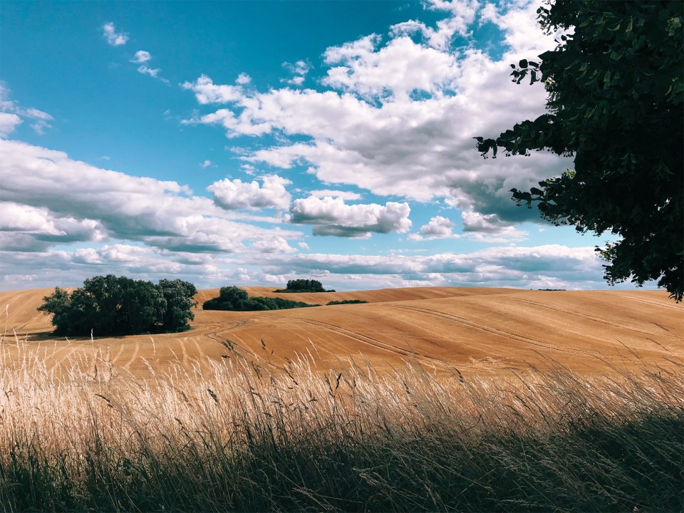  An impressively detailed (and well-exposed) snap of meadows taken on an iPhone 7