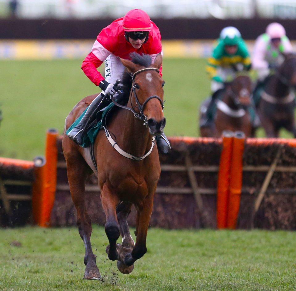  Laurina is now as short as 7-2 for the Champion Hurdle