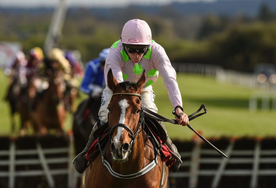  Faugheen has been off the track since a heavy fall in December