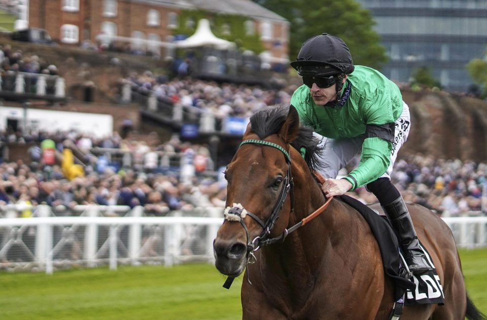 Kachy blasted off in front at Lingfield and looks a classy operator