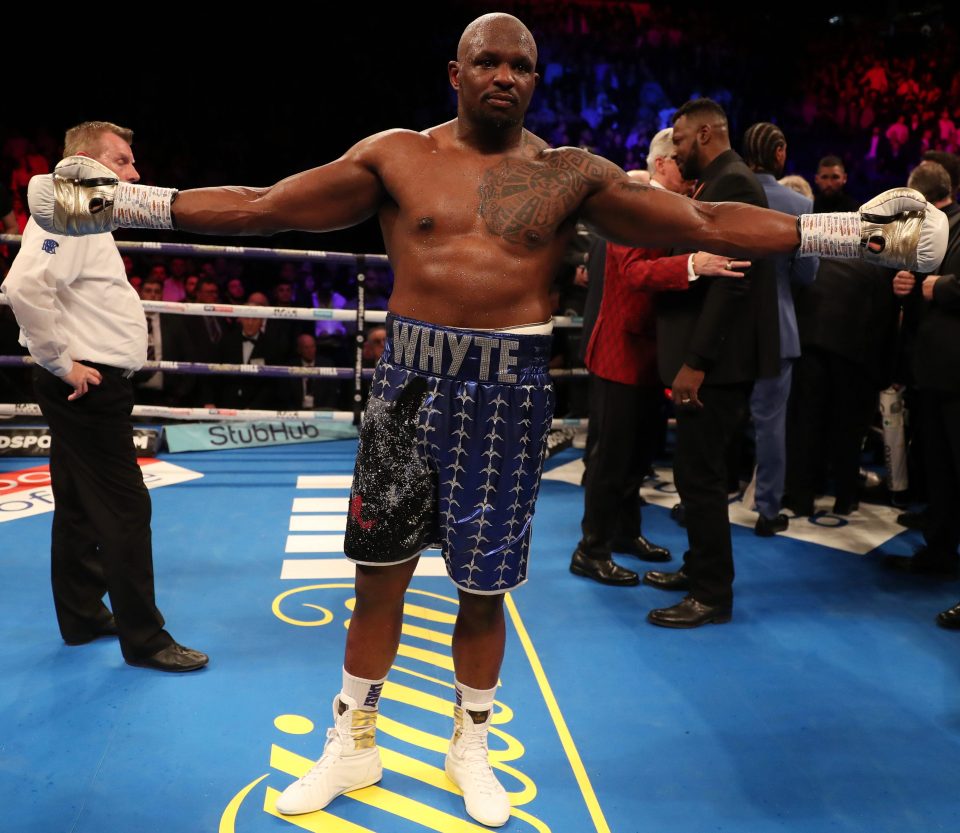 Dillian Whyte, who has himself served time out of boxing for a drugs ban, has accused rival Anthony Joshua of boosting his testosterone levels