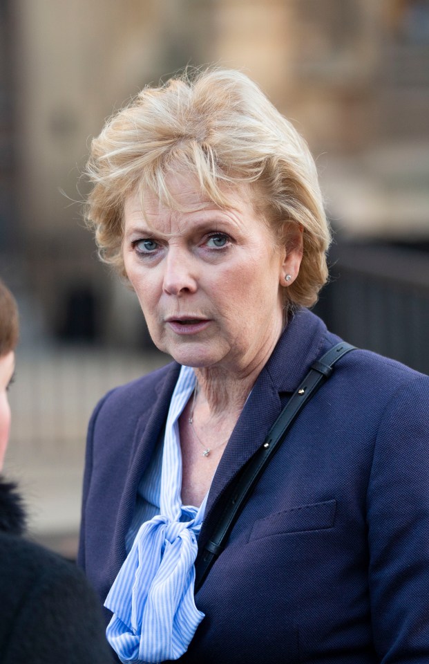  Veteran Tory Anna Soubry is also thought to be in of deflecting according to insiders