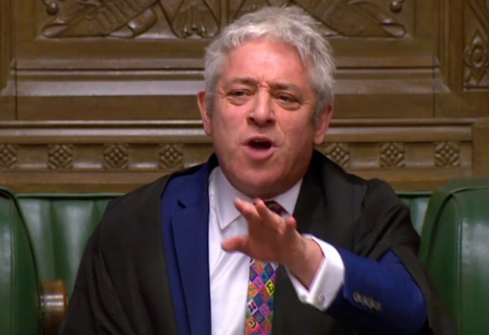  Remain MPs have turned a blind eye to Bercow’s incompetence because they believe he can help wreck Brexit.