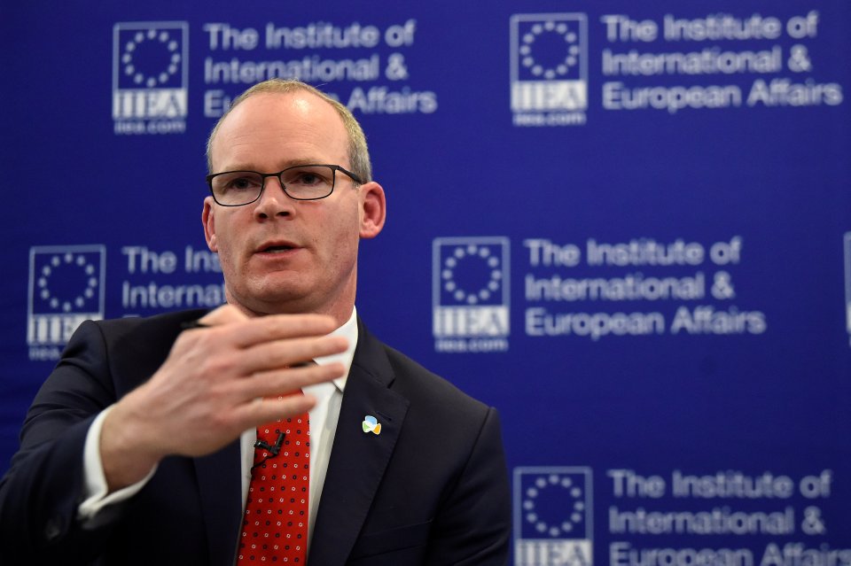  Ireland's Simon Coveney poured cold water on talks