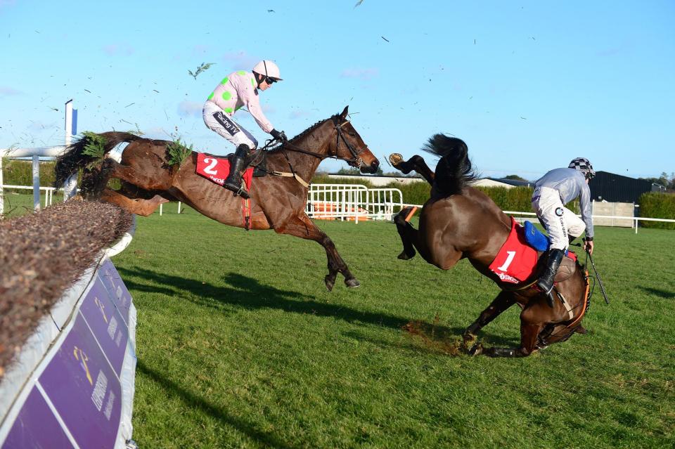  Castlegrace Paddy was an early faller in the Dublin Chase, which was eventually won by Min