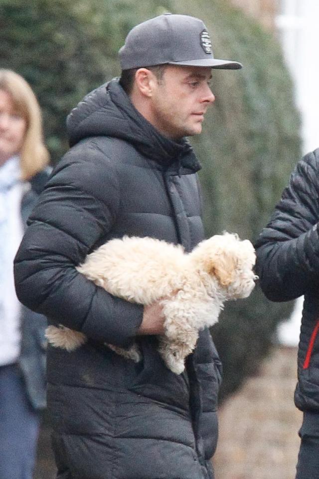  Ant was spotted with the dogs earlier this week