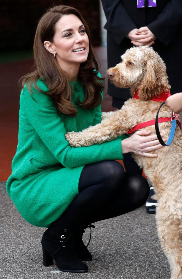  Kate bent down for a quick cuddle with a dog at the London school