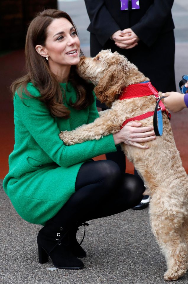  The Duchess gained a fan as she met a cute dog at the first school visit