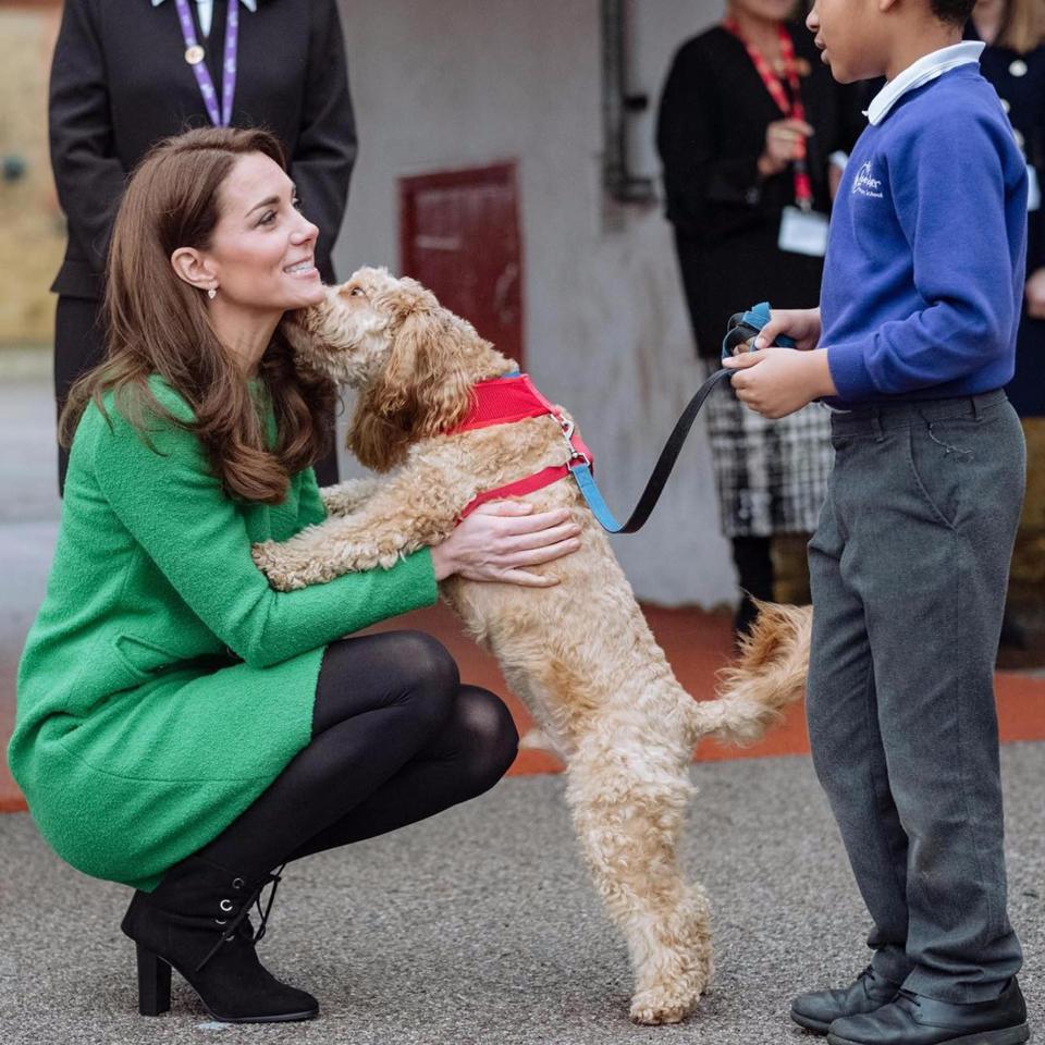  The Duchess of Cambridge received cuddles from a school's cockapoo while on a visit