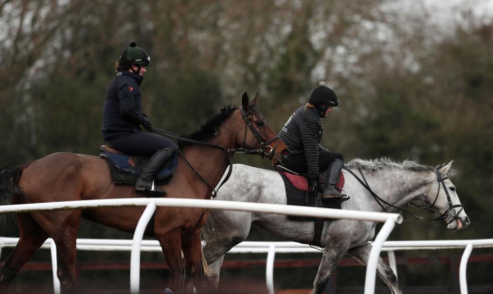  An equine flu outbreak has caused the shutdown of racing in Britain