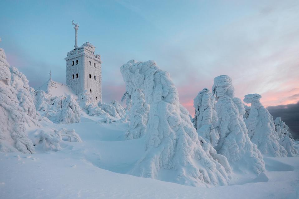  The weather station and trees are blanketed with snow