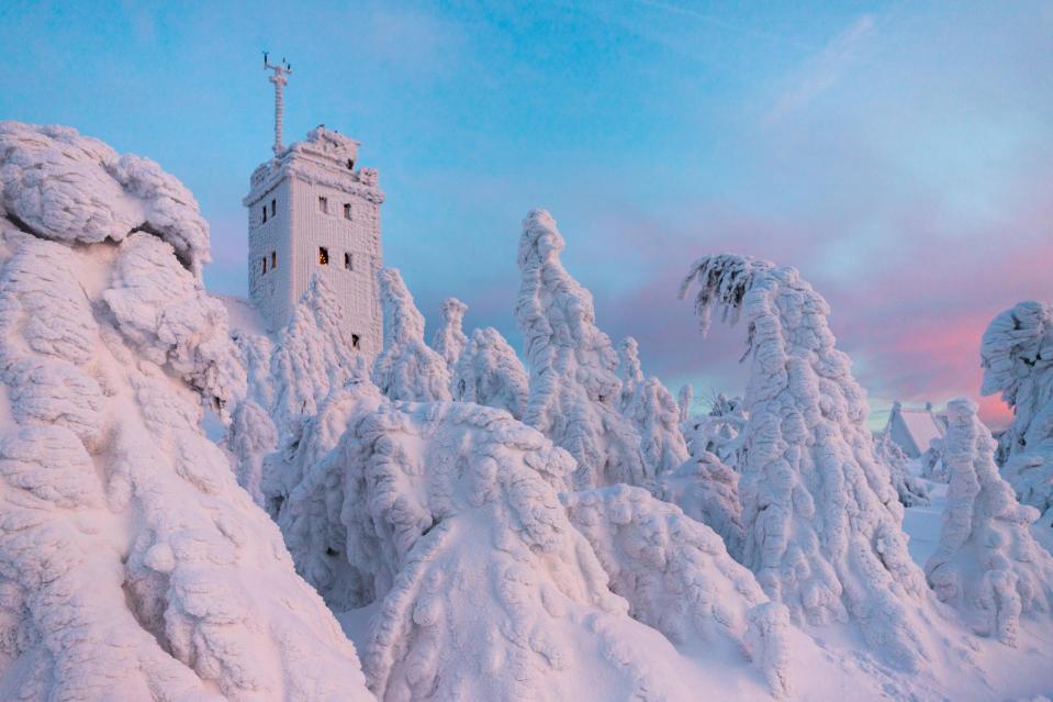  The magical pictures look like images from a fairytale book