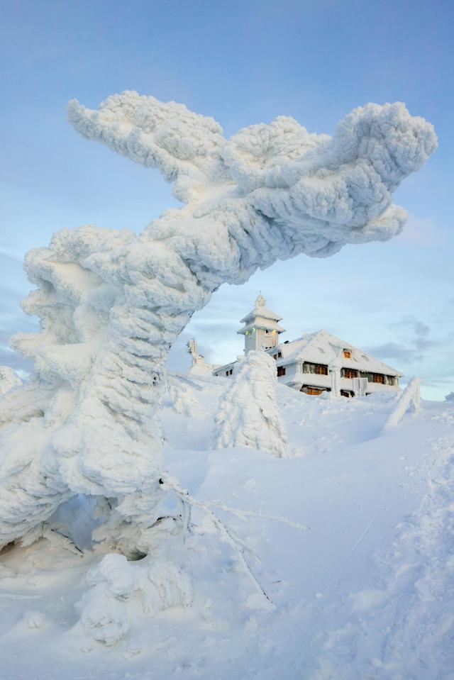  Fichtelberg, near the Czech border, is the highest mountain in Saxony